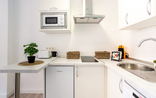 Doble Apartamento con Licencia Turística en Málaga Capital