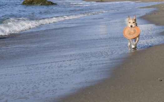 PROYECTO EXCLUSIVO EN BENALMÁDENA PUEBLO
