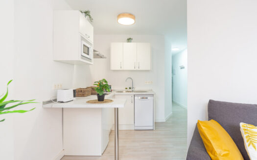 Doble Apartamento con Licencia Turística en Málaga Capital