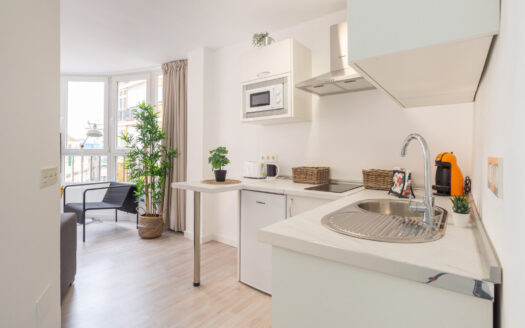 Doble Apartamento con Licencia Turística en Málaga Capital