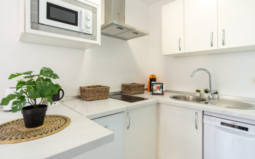 Doble Apartamento con Licencia Turística en Málaga Capital